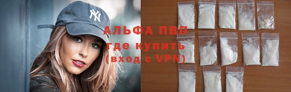 гидра Майский
