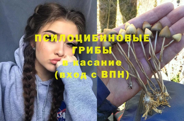 синтетический гашиш Лабытнанги