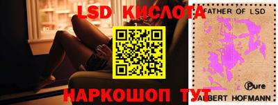 эйфоретик Донской