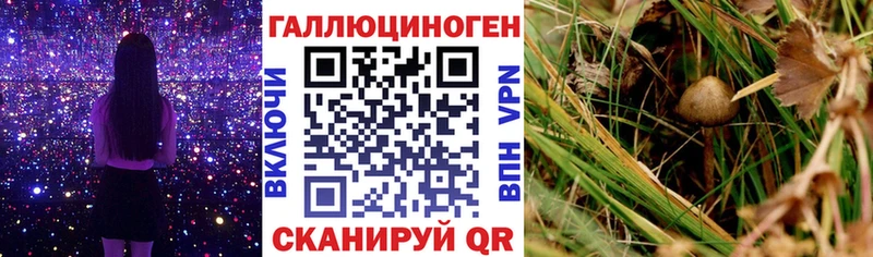 Псилоцибиновые грибы мухоморы  дарнет шоп  Мелеуз 