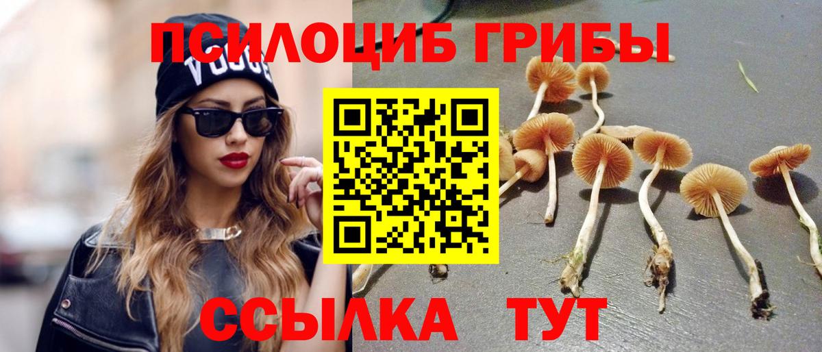 Галлюциногенные грибы Magic Shrooms  Вход с VPN  Галлюциногенные грибы ЛСД  Мелеуз 